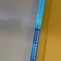 社畜的超佛系日本代購