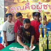 โชว์รูมไก่ชน