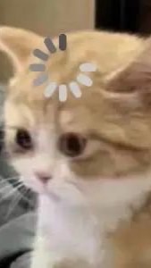 女孩小天地🤍👶