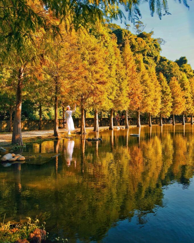 桃園戶外景點 月眉濕地生態園區