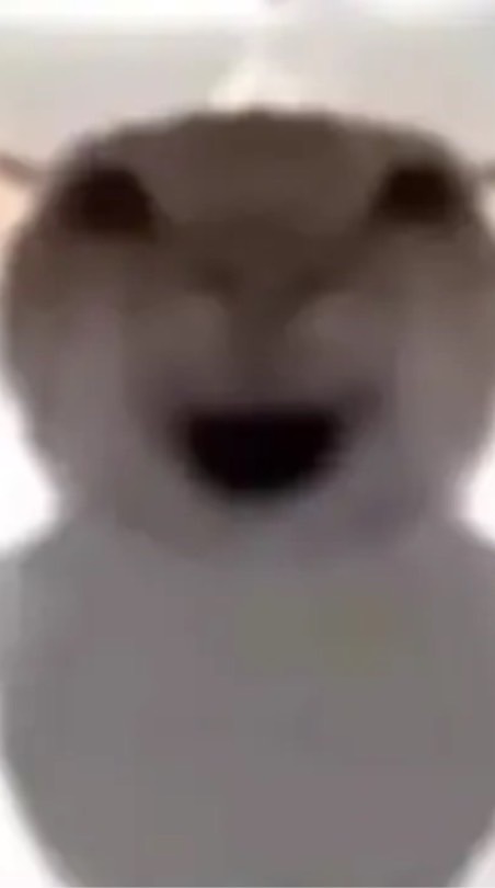 A N G俱樂部