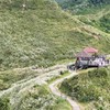 11/23（日）草嶺古道芒花季開跑囉