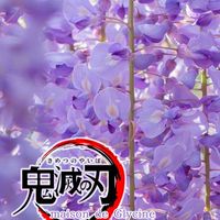 鬼滅なりきり 𝐦𝐚𝐢𝐬𝐨𝐧 𝐝𝐞 𝐆𝐥𝐲𝐜𝐢𝐧𝐞