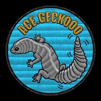 Ace.geckooo 爬蟲交流