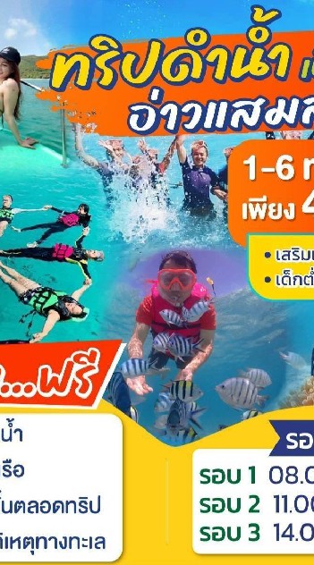 ดำน้ำ ดูปะการัง ตกหมึก แสมสาร สัตหีบ และพลูวิลล่า สระว่ายน้ำ