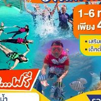 ดำน้ำ ดูปะการัง ตกหมึก แสมสาร สัตหีบ และพลูวิลล่า สระว่ายน้ำ