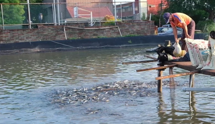 (高雄美食)鰻魚日記－鰻魚收成囉現在吃最肥美！貴族鰻魚丼250元起 自產自銷產地直送保證鮮