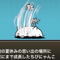 にゃんこ初心者の会