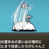 にゃんこ初心者の会