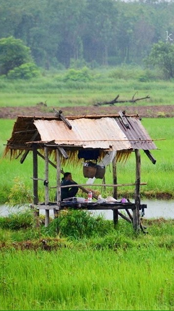•เถียงนาน้อย*พักใจ_