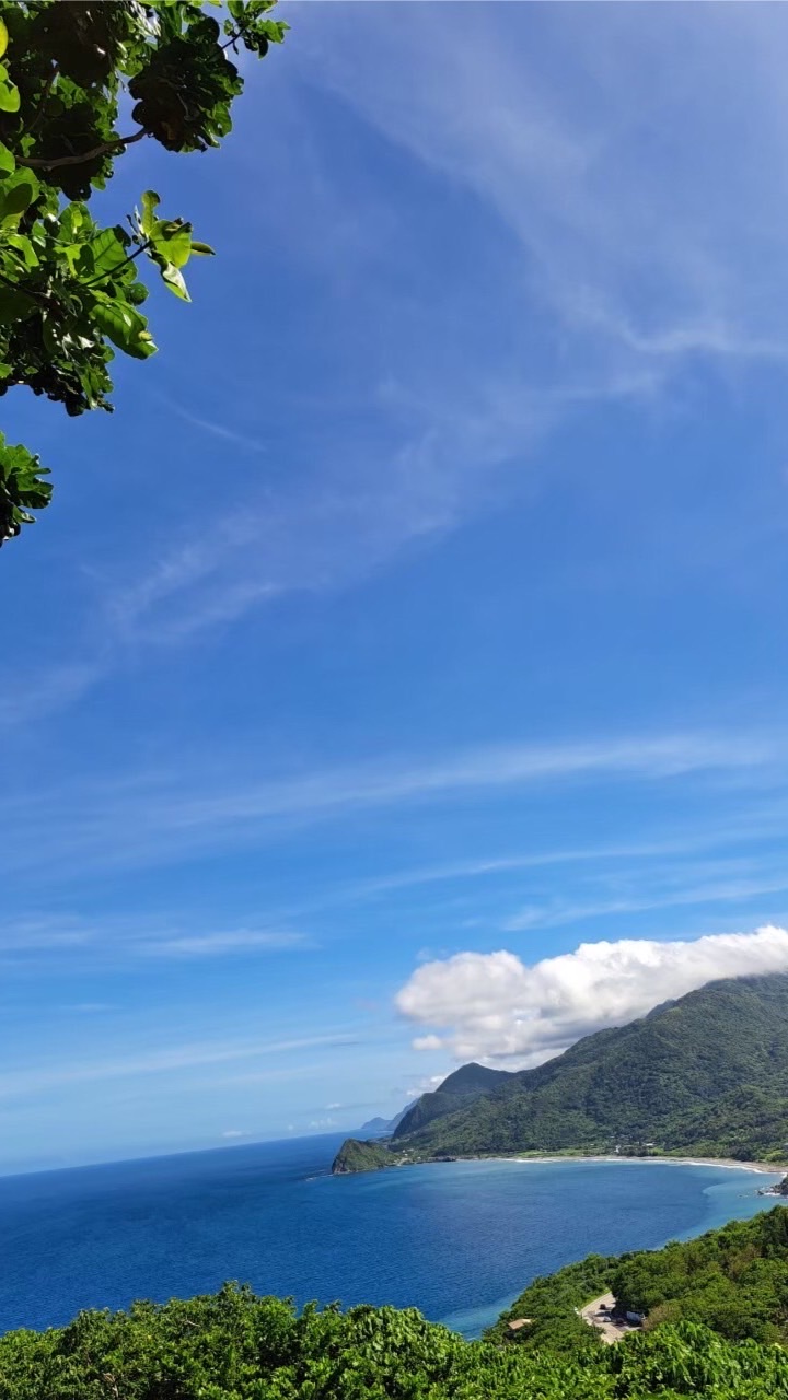 快樂單身～青春啟航