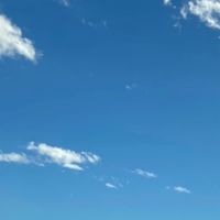 【2026年度新歓】STUDY FOR TWO 学習院大学支部