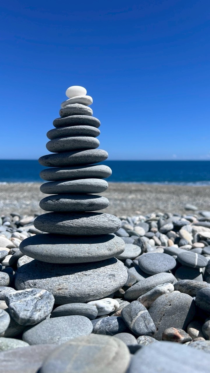 🦖禾境旅途🍀找到了