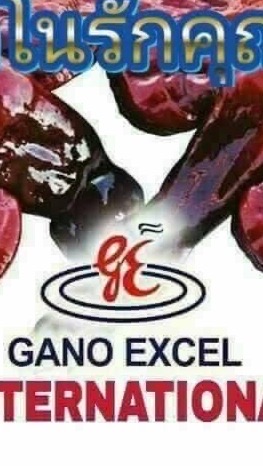 Gano Excel เห็ดหลินจือ6สายพันธุ์