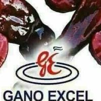 Gano Excel เห็ดหลินจือ6สายพันธุ์