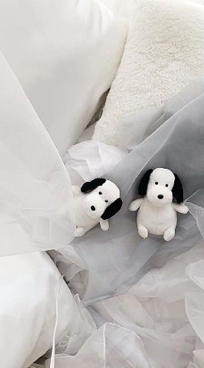 オタ活仲間ください…💝໒꒱