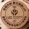 臺南市樂齡「數位幫手」團