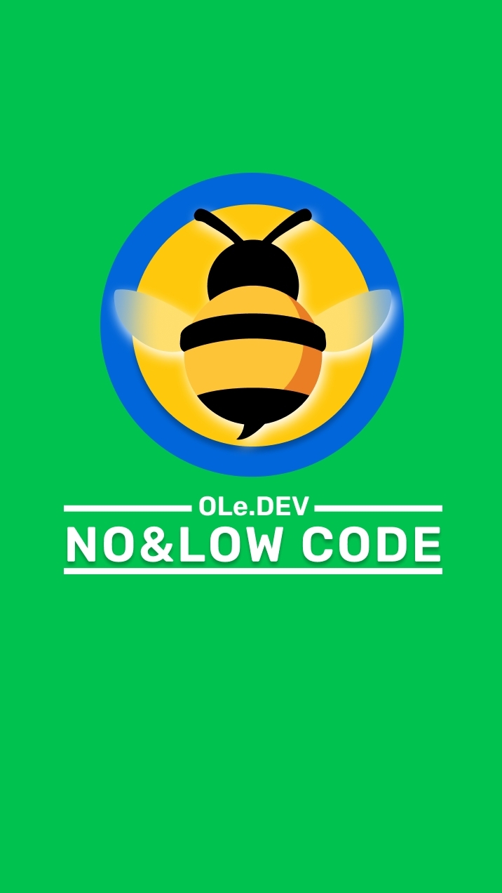 NO&LOW CODE