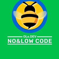 NO&LOW CODE