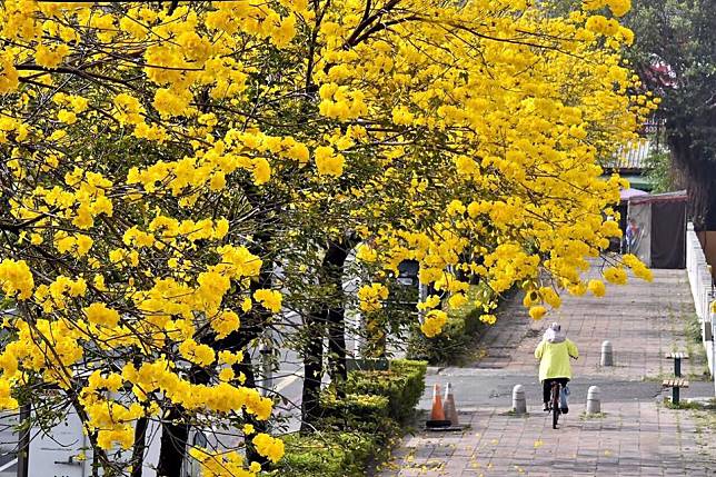 親力親為！韓國瑜回高雄拚市政　賣水果、防疫宣導...全都自己來