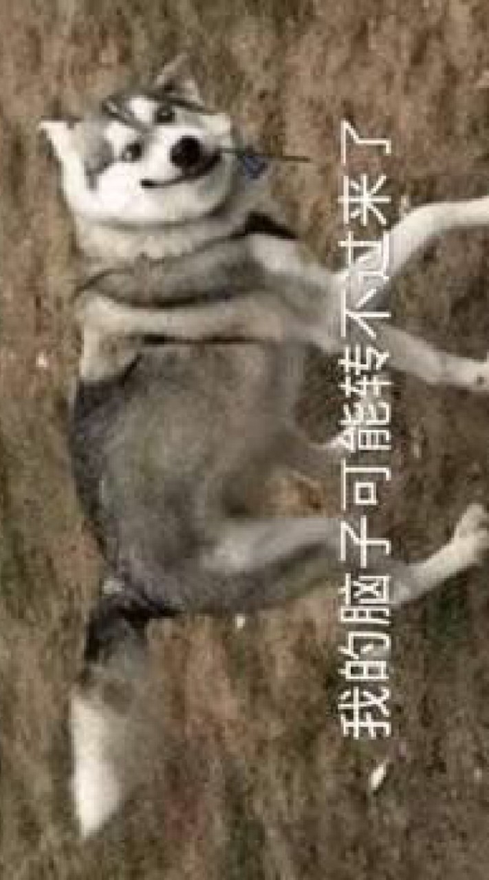 對戲群