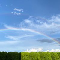🍀60歳からのしゃべり場倶楽部🍀