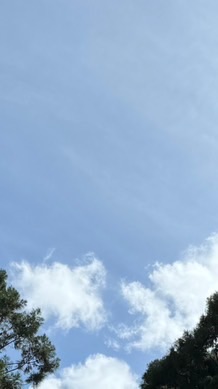 一英1彈性學習