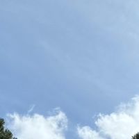 一英1彈性學習