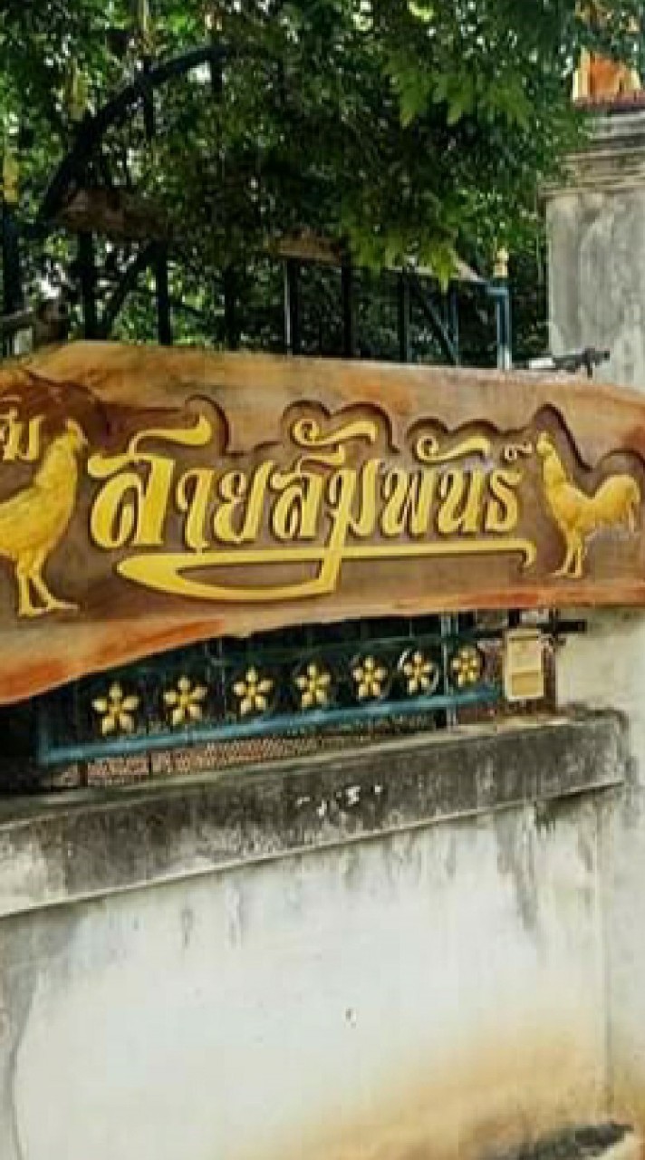 ซุ้มไก่สายสัมพันธ์ชัยนาท