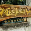 ซุ้มไก่สายสัมพันธ์ชัยนาท