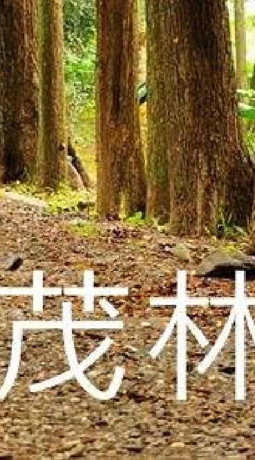 我是茂林人