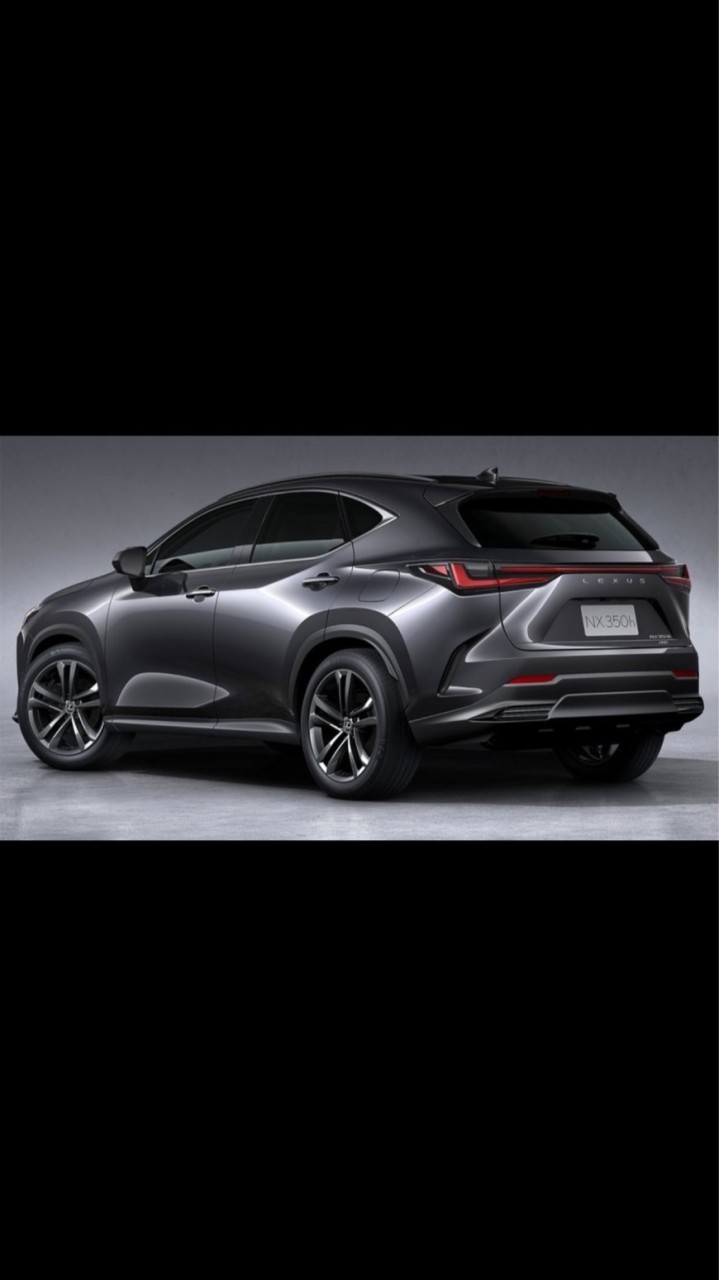 LEXUS NX系列車友群