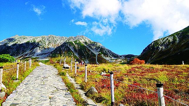 賞楓速報 立山黑部紅葉季來臨 旅遊經 Line Today