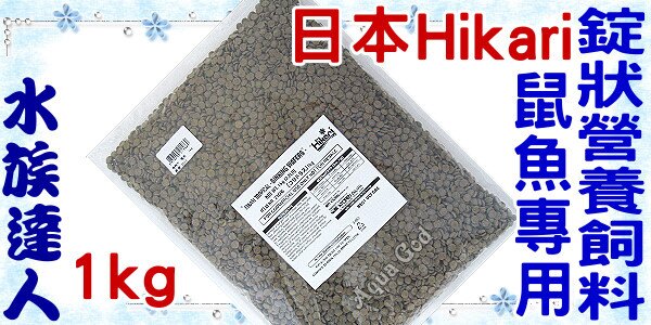 【水族達人】日本Hikari《高夠力鼠魚專用錠狀營養飼料1kg 21566》☆營養滿分˙玩家首選☆