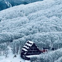 ERski滑雪急診室