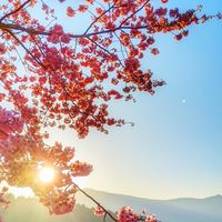 青溪同學交遊趣