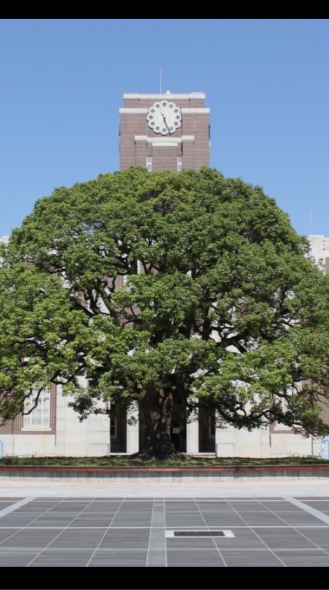 京大志望・京大生用オプ