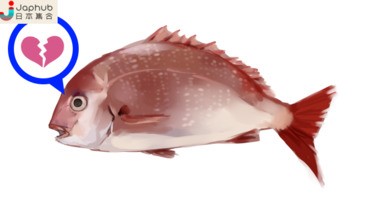 網絡繪師教你畫鯛魚 但是過程卻... 喂...？？？？？
