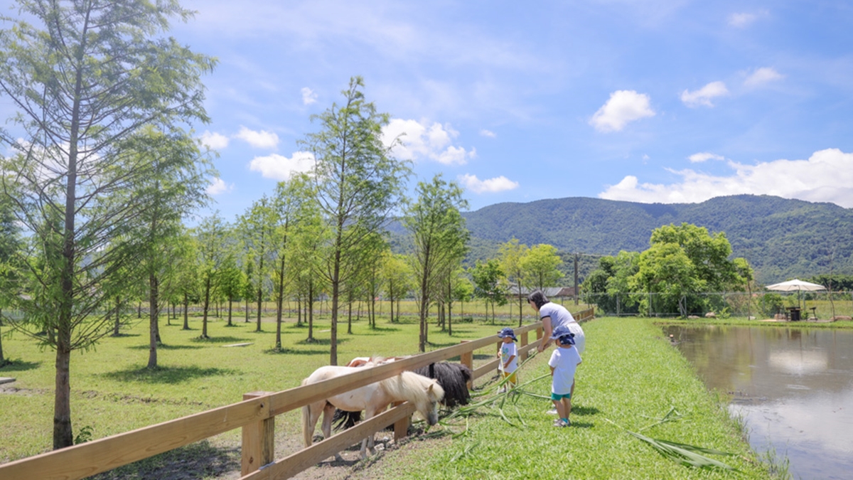 最低50元玩整天！2023新開幕６家「親子農場」：近距離餵水豚、１日小小蔥農