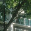 人生の春なんて花びら一枚　。　：　幌壁打