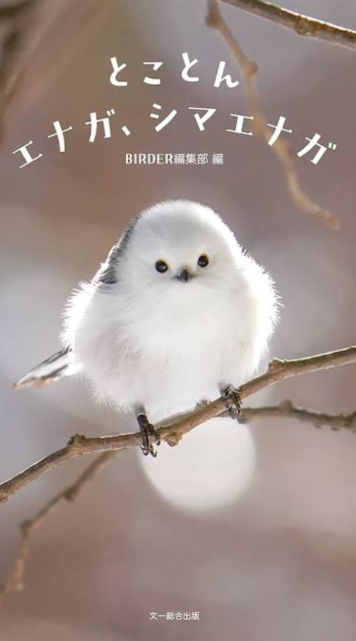 三国極戦☆絆☆