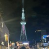 あやいぶとら　動画保存