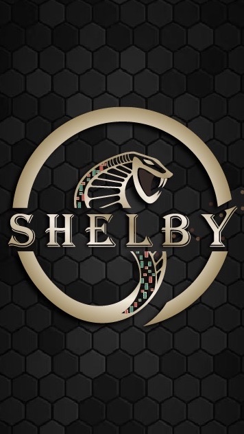 👑SHELBY【S1】 👑虛擬貨幣/加密貨幣/比特幣/以太幣/幣安/OKX/合約/現貨/區塊鏈/理財