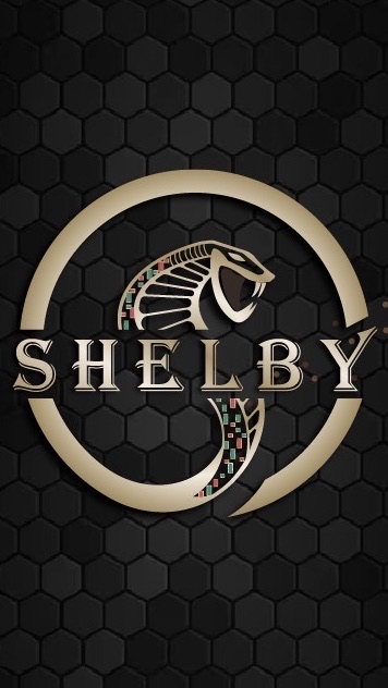 👑SHELBY【S1】 👑虛擬貨幣/加密貨幣/比特幣/以太幣/BINGX/幣安/OKX/合約/現貨