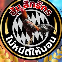 ซุ้มสิทธิกร ไม่หนีตีให้นอน