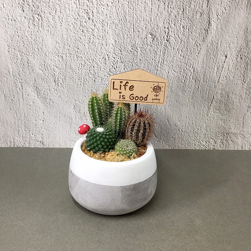 【水泥小圓盆-】盆栽/植栽/禮物/生日/刻字(附字牌)