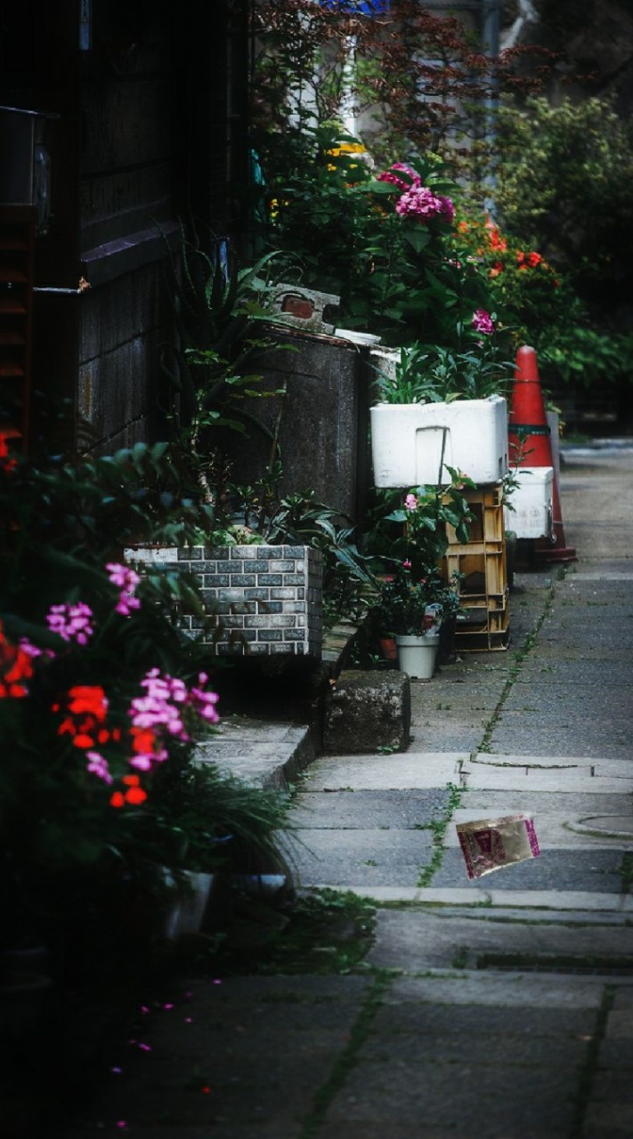 今日もこの道に"ねるねるねるねの①の粉"が落ちてる。のオープンチャット