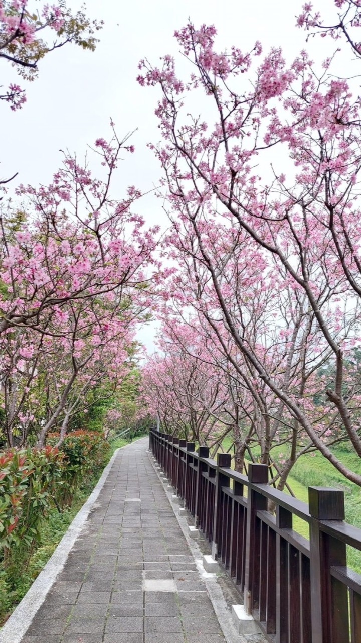 東湖樂活團購