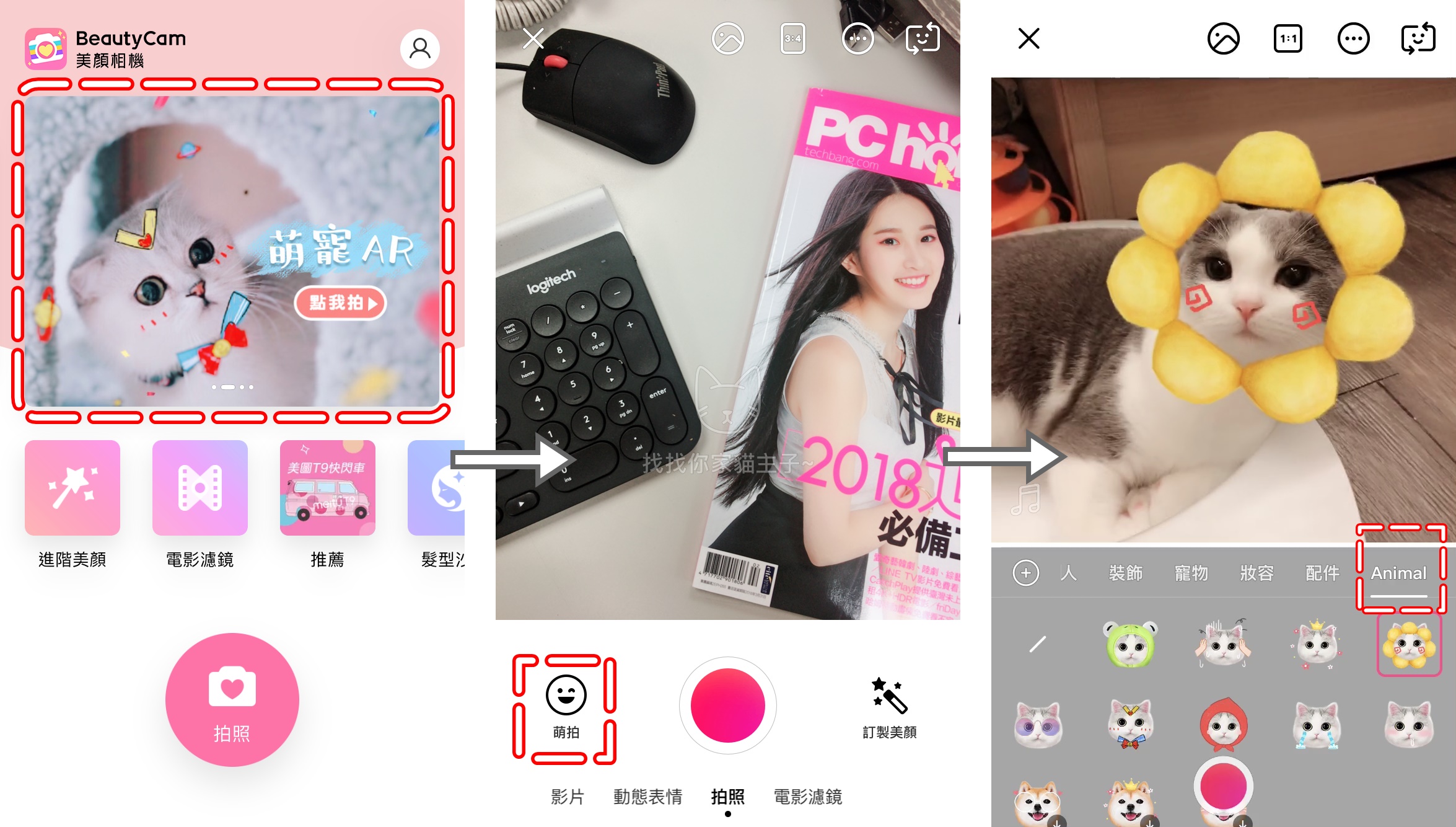 犬喵也要賣萌搞怪搏版面？美顏相機App 推出寵物專屬「萌寵AR」