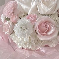 女の子限定🎀🍼垢抜けテク女子学園（サブ）
